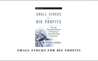 Small Stocks for Big Profits