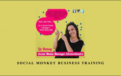 Social Monkey Business Training