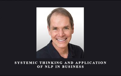 Systemic Thinking and Application of NLP in Business