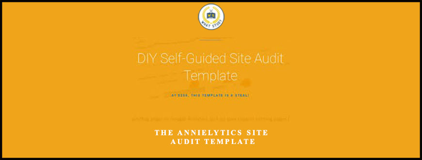 the-annielytics-site-audit-template-what-study