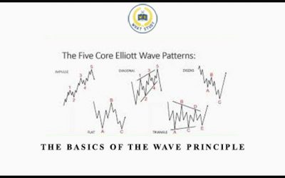 The Basics of the Wave Principle