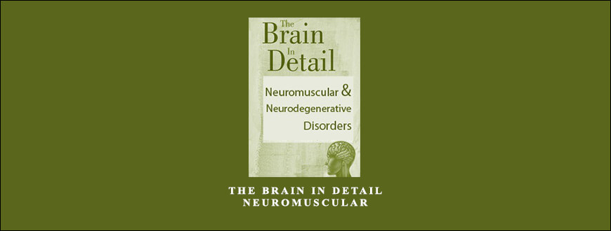 The Brain in Detail Neuromuscular & Neurodegenerative Disorders from Bonita Gordon & Sean G. Smith