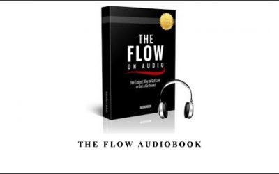 The Flow Audiobook