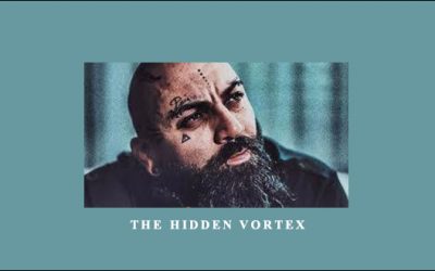 The Hidden Vortex