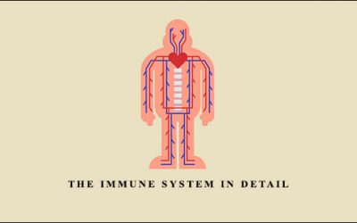 The Immune System in Detail by Angelica Dizon