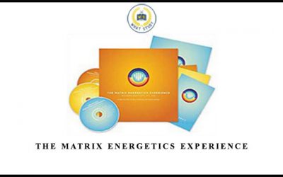 The Matrix Energetics Experience