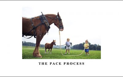 The PACE Process