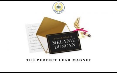 The Perfect Lead Magnet