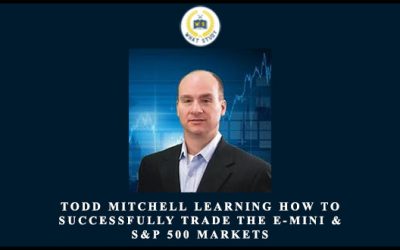 Learning How to Successfully Trade the E-mini & S&P 500 Markets