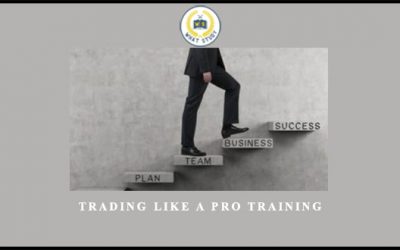 Trading Like a Pro Training