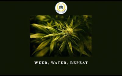 Weed, Water, Repeat