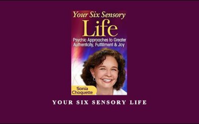 Your Six Sensory Life
