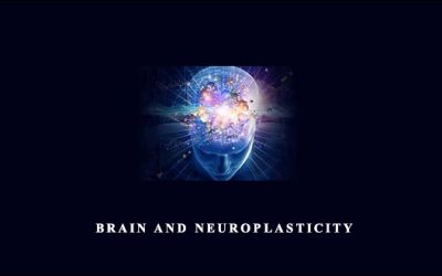 Brain and Neuroplasticity
