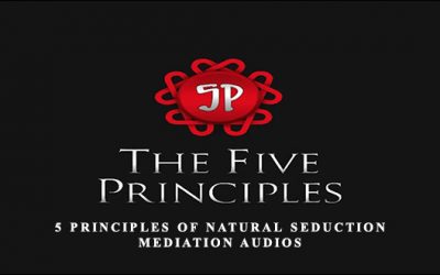 5 principles of Natural Seduction & Mediation Audios