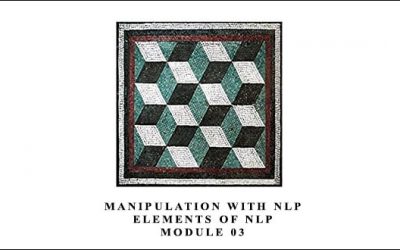 Chris Mulzer – Manipulation with NLP – Elements of NLP – Module 03