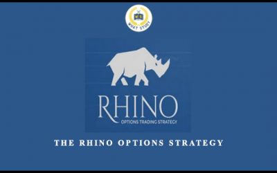 The Rhino Options Strategy