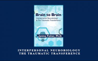 Interpersonal Neurobiology & The Traumatic Transference