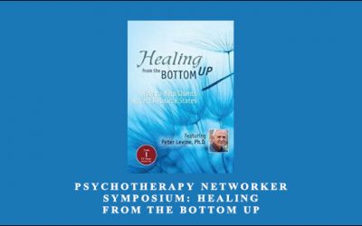 Psychotherapy Networker Symposium: Healing from the Bottom Up
