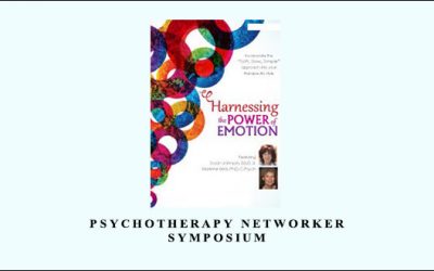 Psychotherapy Networker Symposium