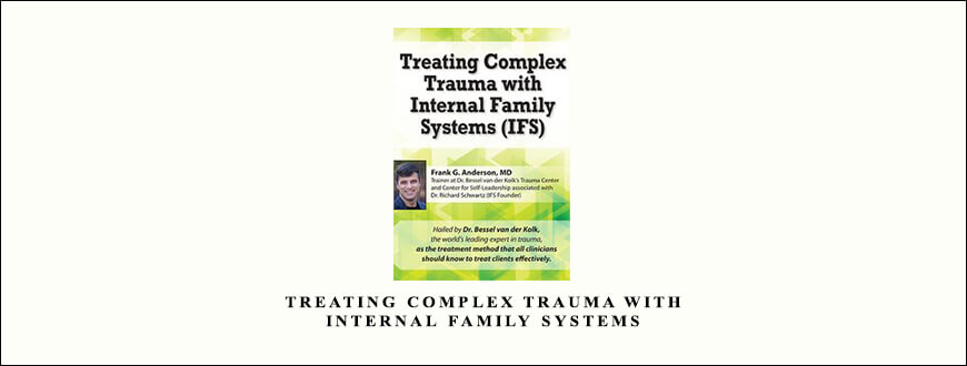 Treating Complex Trauma with Internal Family Systems by Frank G. Anderson