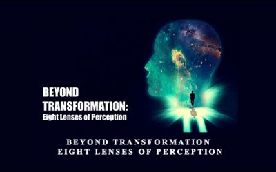 BEYOND TRANSFORMATION – Eight Lenses of Perception