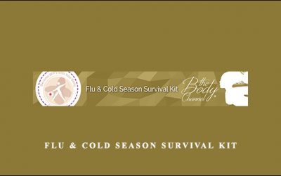 Flu & Cold Season Survival Kit
