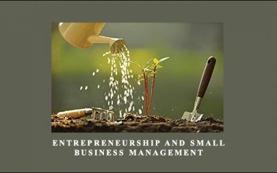 Entrepreneurship and Small Business Management