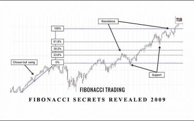 Fibonacci Secrets Revealed 2009