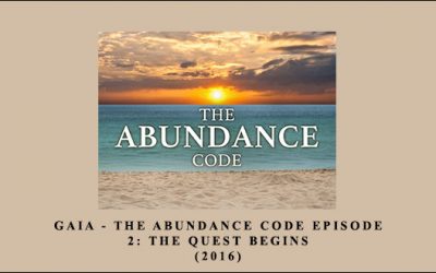The Abundance Code – Episode 2: The Quest Begins (2016)
