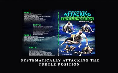 Systematically Attacking the Turtle Position