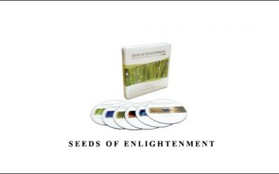 Seeds of Enlightenment