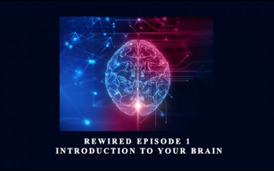 Rewired Episode 1: Introduction to Your Brain