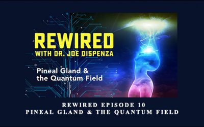 Rewired Episode 10: Pineal Gland & the Quantum Field