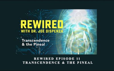 Rewired Episode 11: Transcendence & the Pineal
