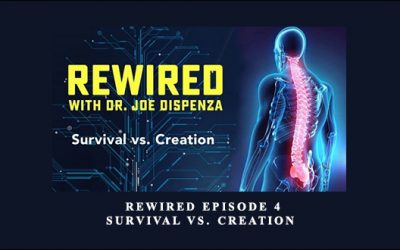 Rewired Episode 4: Survival vs. Creation