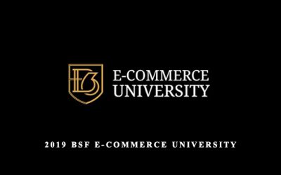 2019 BSF E-commerce university