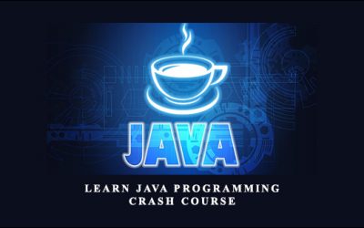Learn Programming Crash Course