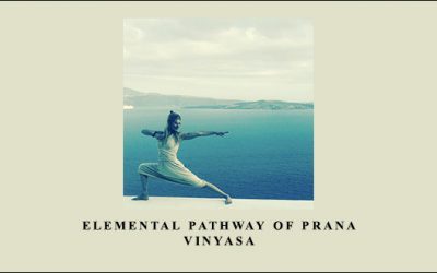 Elemental Pathway of Prana Vinyasa