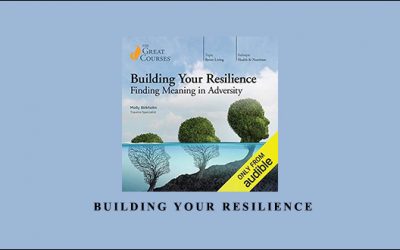 Building your Resilience