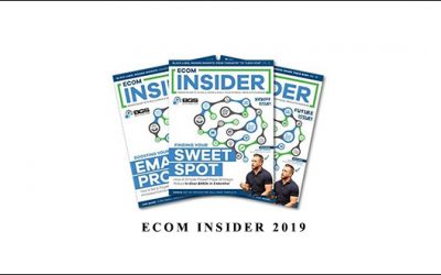 Ecom Insider 2019