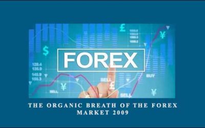 The Organic Breath of the Forex Market 2009