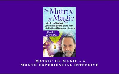 Matric of Magic 6 Month Experiential Intensive