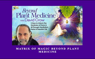 Matrix of Magic Beyond Plant Medicine