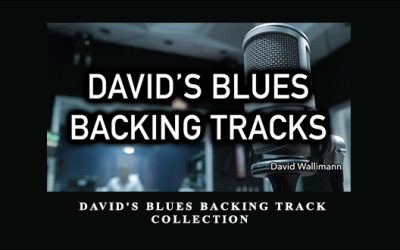 DAVID’S BLUES BACKING TRACK COLLECTION