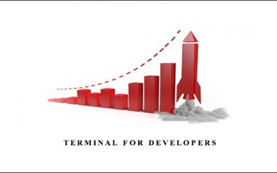 Terminal For Developers