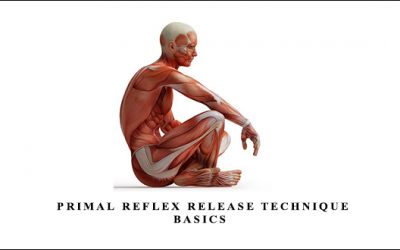 Primal Reflex Release Technique Basics