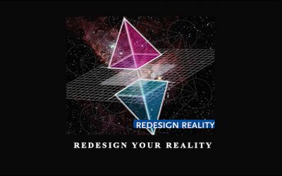 Redesign Your Reality