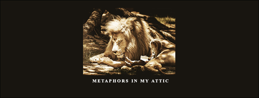 Metaphors in My Attic by Andrew Austin taking at Whatstudy.com