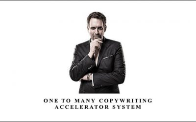 One To Many Copywriting Accelerator System