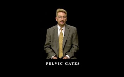 Pelvic Gates